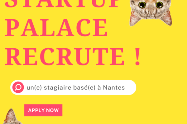 Startup palace recrute !