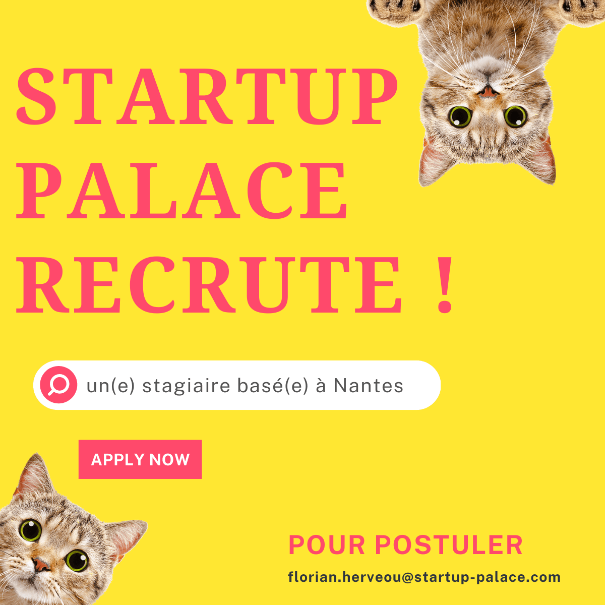 Startup palace recrute !